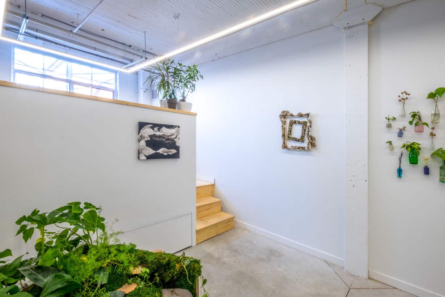 Peculiar Movements/Green Junctions at NAMARA projects